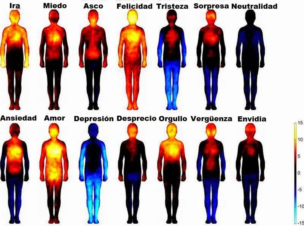 diagrama de las emociones