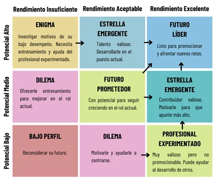 matriz 9 box