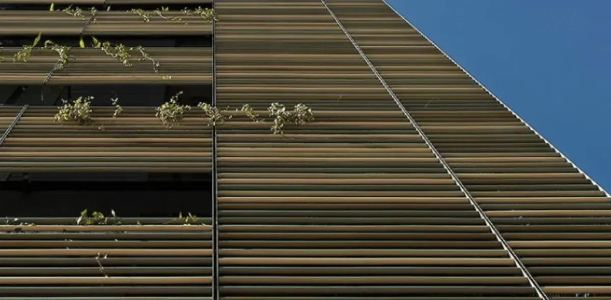 Ventanas de edificio, cubiertas con persianas verticales, sostienen enredaderas verdes; cielo azul despejado al fondo.