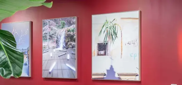 Tres cuadros cuelgan en una pared roja; uno muestra una cascada, otro una planta colgante, y un tercero es parcialmente visible, con una hoja verde en primer plano.