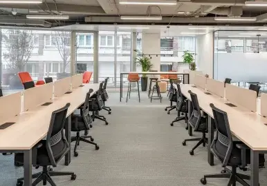 Filas de escritorios con sillas negras organizadas en espacio de oficina amplio y moderno, con ventanas al fondo y plantas decorativas.